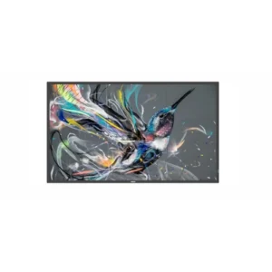 PHILIPS BASIC 18X7 (NO ANDROID) 65" Q-LINE 18/7, 4K UHD